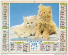 Calendrier anniversaire 1977  1996 