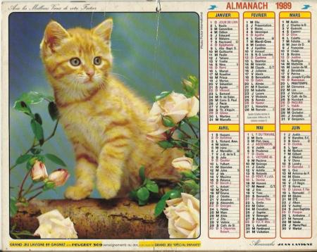 Calendrier anniversaire 1989