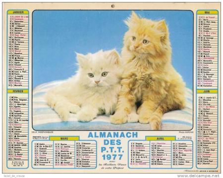 Calendrier année de naissance 1977